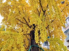 -苏州河梦清园环保主题公园