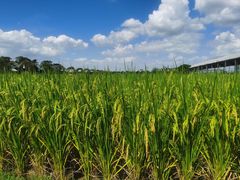 -迪茵湖田家舍生态农场