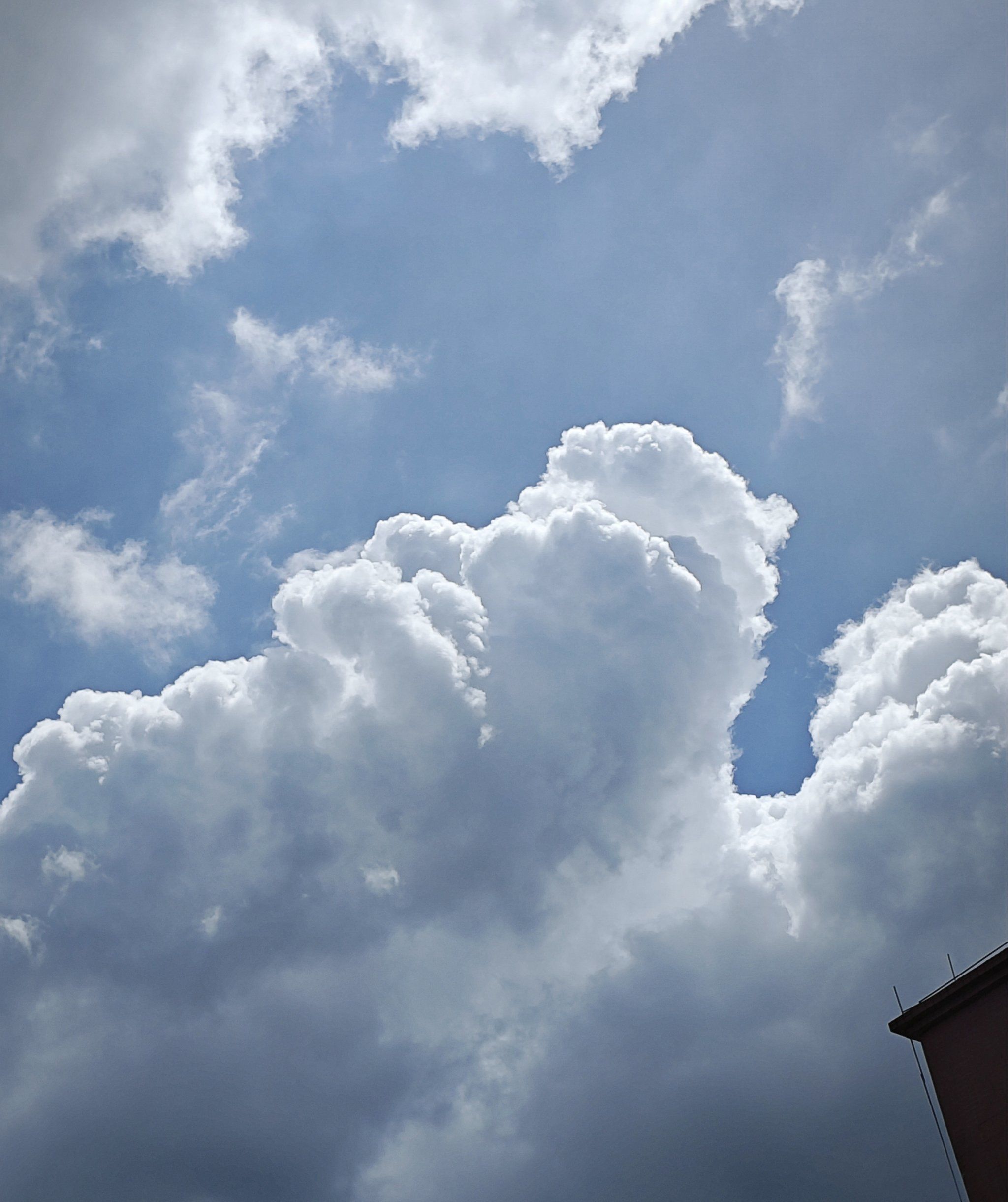 拿着云朵散步去