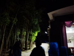 -金水泊山庄·花椒鸡(铁山坪店)