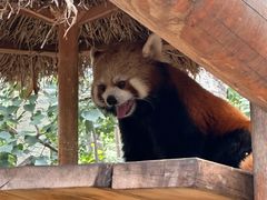 -北京野生动物园