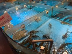 -耕渔小院·湖南鱼鲜(望城店)