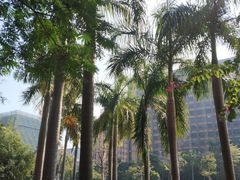 -迎喜海鲜酒楼(鹏森·海纳中心店)