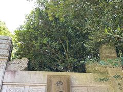 -普陀山风景区-佛顶山