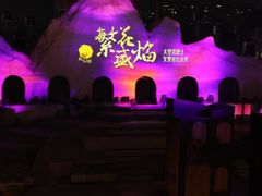 -花博汇(知音花月夜)