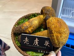 -爱膳菌锅锅(阳南店)