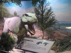 -国家自然博物馆