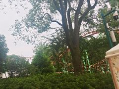 -杭州少年儿童公园
