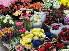 -双季花艺园艺市场(浦东店)