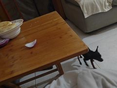 -祥源·阜阳生态乐园