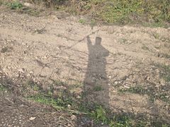 -青龙山国家森林公园