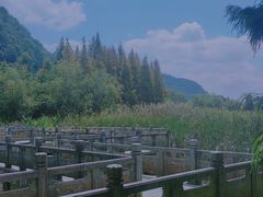 -贵阳市花溪国家城市湿地公园