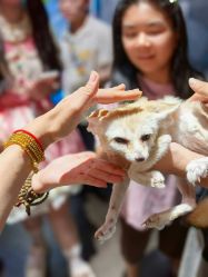 -Zoolung Zoolung动物主题公园(海信广场店)