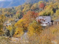 -塔川景区