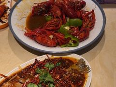 -杨氏青龙虾·羊蝎子(珠江路店)