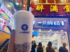 -一只酸奶牛(八一路店)
