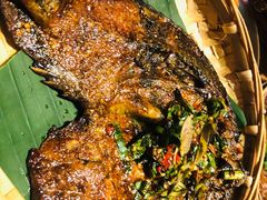 香茅草烤鱼-醉云喃