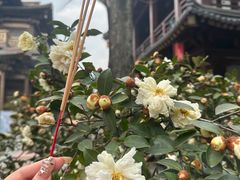 -香积寺