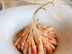 糟醉白米虾-三利音·浦之舟(滨江大道店)