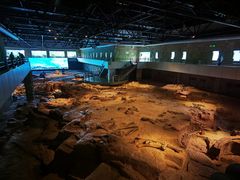 -自贡恐龙博物馆