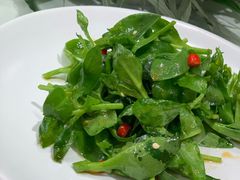 田七菜-九十九顶毡房(阜石路店)