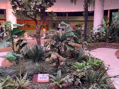 -陕西自然博物馆