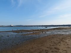-集美鳌园景区