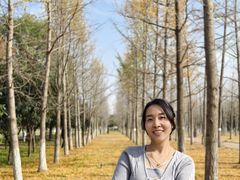 -汉长安城未央宫国家考古遗址公园