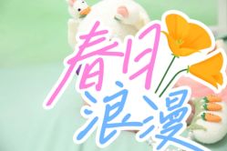 -皇家爱婴高端儿童摄影(苹果园店)