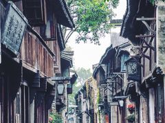 -乌镇景区