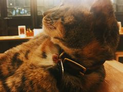 -猫的天空之城概念书店(杭州南宋御街店)