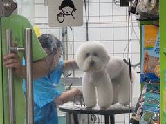 -唐小姐の猫狗洗护·购宠旗舰店(周浦万达店)