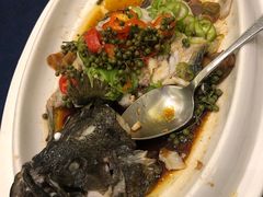 -绿岛国际酒店·海鲜酒楼(八七路店)