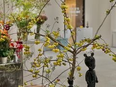 -潮一不贰·法式甜品·生日蛋糕·西式简餐(外滩店)