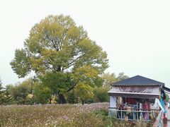 -青海湖二郎剑景区