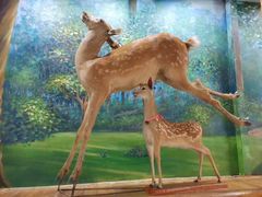 -北京鹿世界主题园