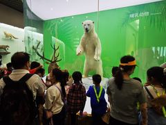 -国家自然博物馆