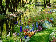 -上海共青森林公园