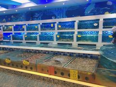 水产区-渔家海鲜舫(宝湖路店)