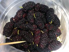 -海口骑楼小吃街