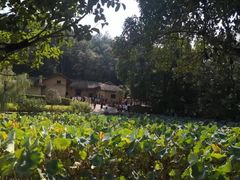 -韶山毛泽东同志故居