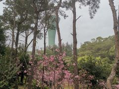 -狐尾山公园