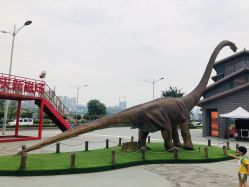 点击看大图 -恐龙探索乐园(磁器口店)