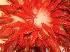 -红盔甲·小龙虾(天钥桥店)