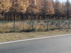 -塞罕坝国家级自然保护区