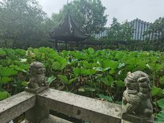 -上海醉白池公园