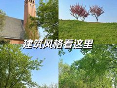 -贡湖湾湿地公园