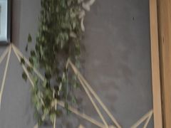 -凤兴鸡煲(宝安海雅店)