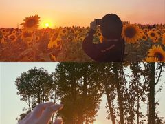 -映月湖中央公园