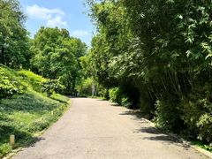 -重庆彩云湖湿地公园